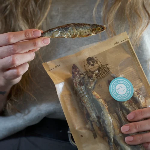 Snack natural para perro y gato. Boquerón